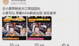 老毕唱歌热点爆料视频,视频爆料背后的真相与争议