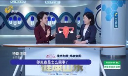 韩网电台爆料新闻直播